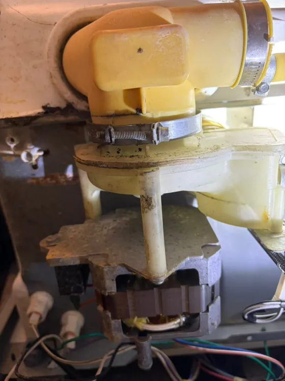 Dishwasher pump and motor, close up, from a Tech Parker job